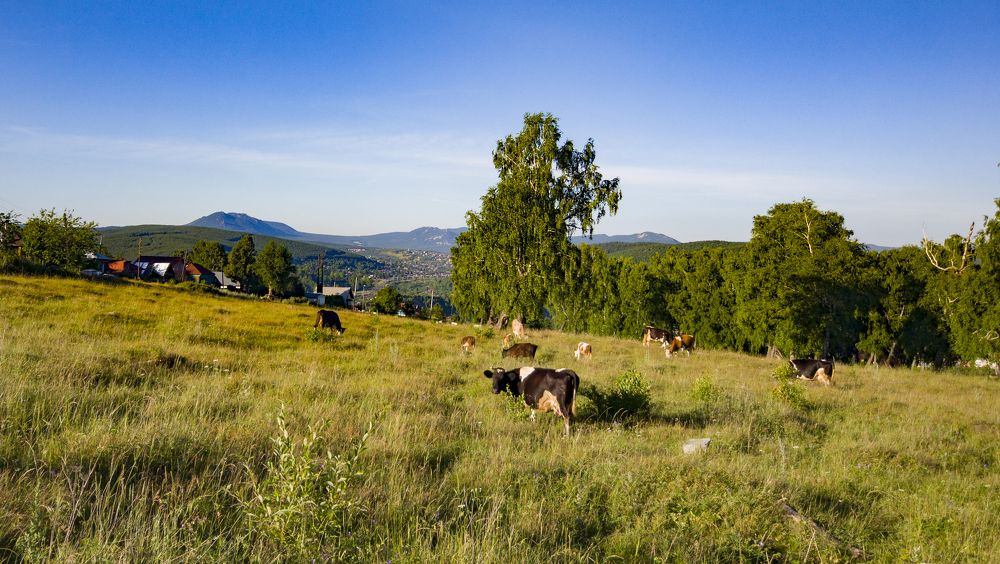 Photograph by Артем Сивцов