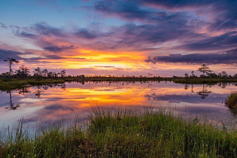 Photograph by Александр Абросимов