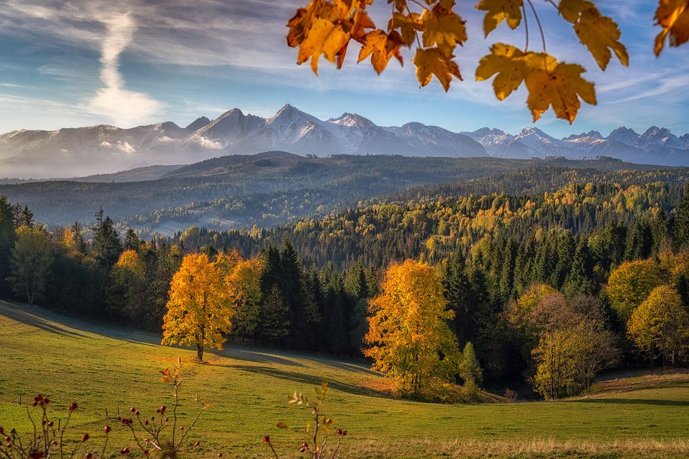 Photograph by Piotr Golebniak