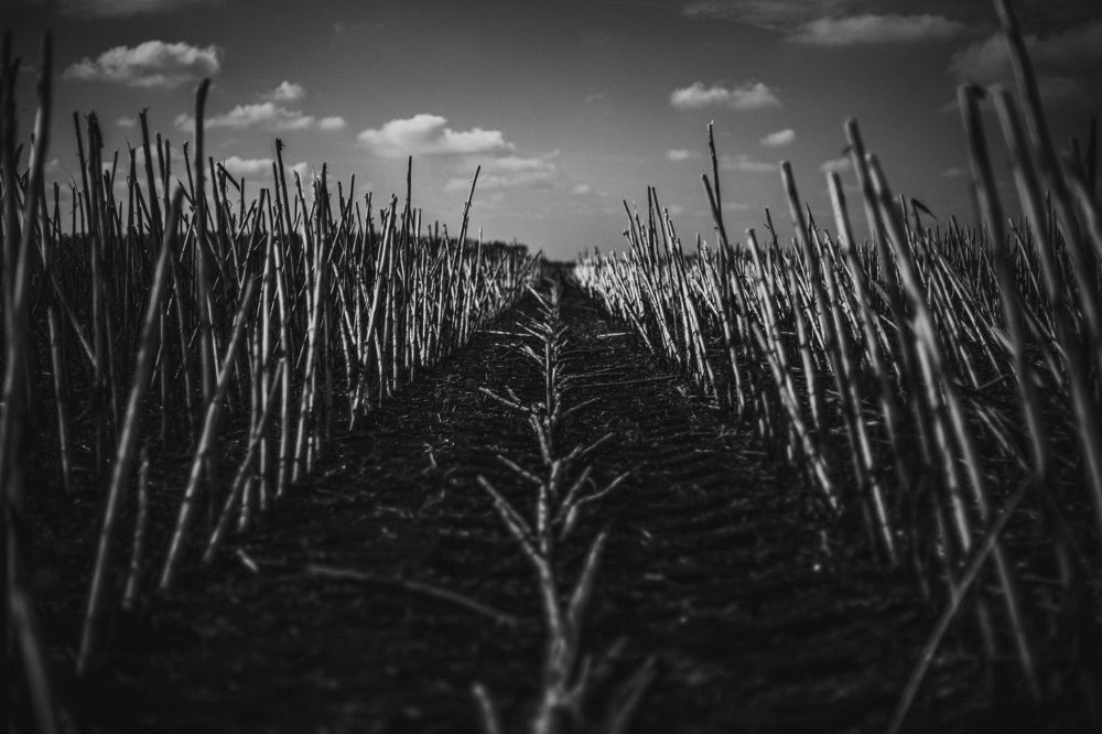 Photograph by Юлия Мальнева