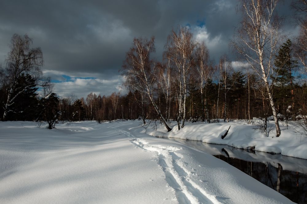 Photograph by Алексей Баженов