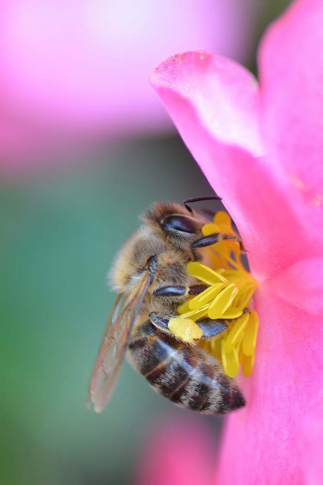 Photograph by Djordje Filipovic