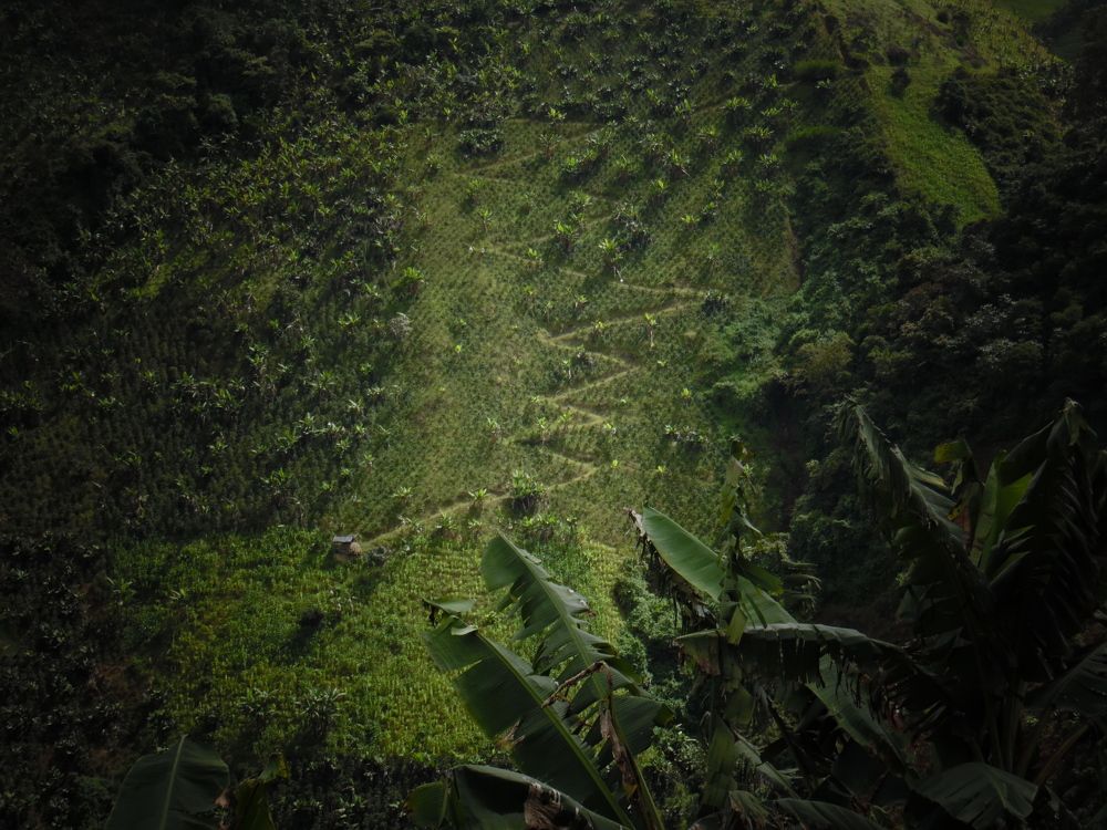El Guaico en la cordillera