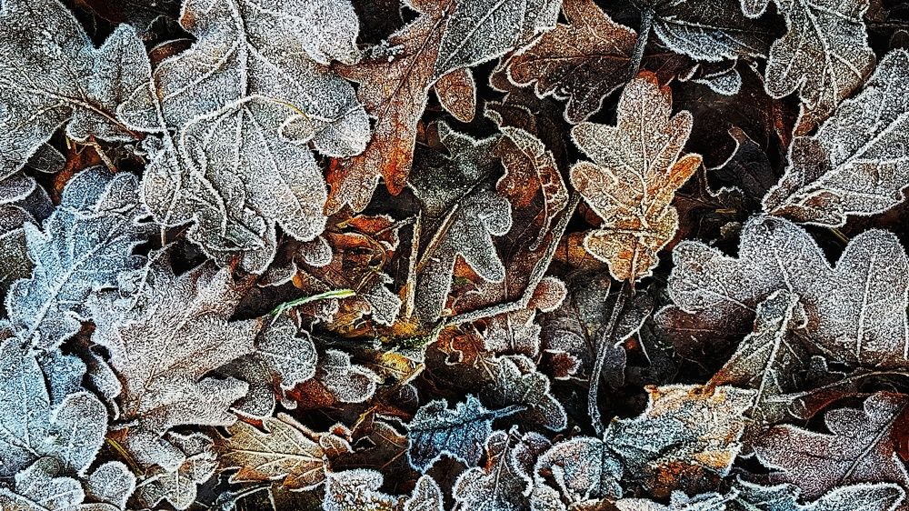 Photograph by Reihan Trandafir