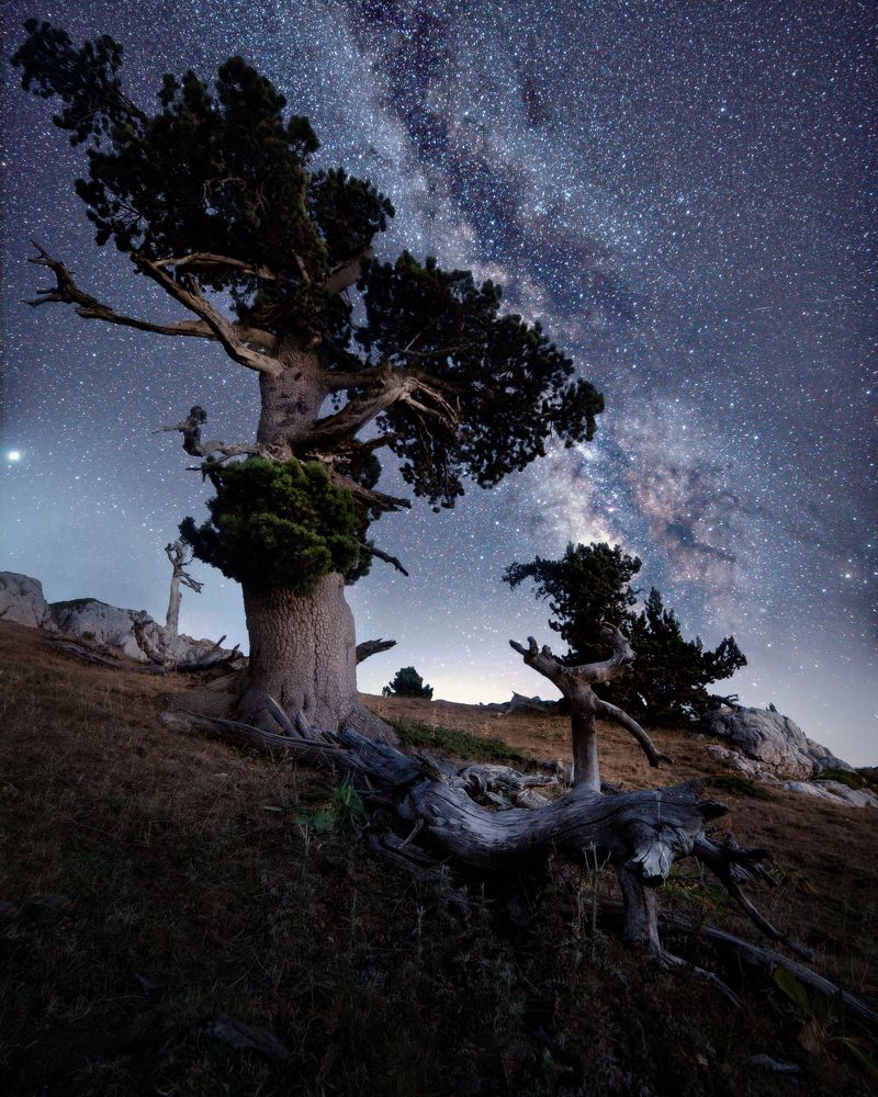 Photograph by lorenzo de donnoo