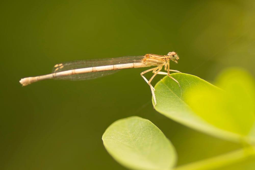 Photograph by Djordje Filipovic