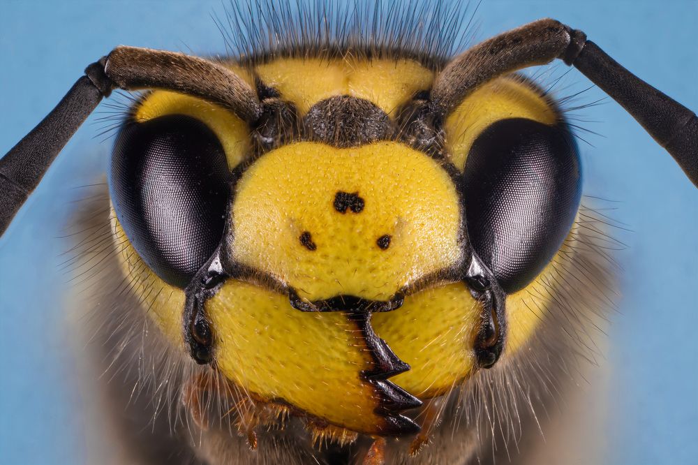 Photograph by Abolfazl Arab