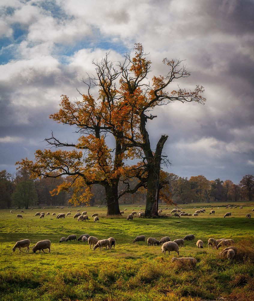 Photograph by Piotr Golebniak