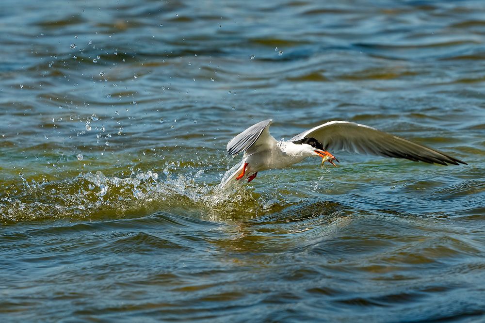 Photograph by Александр Абросимов