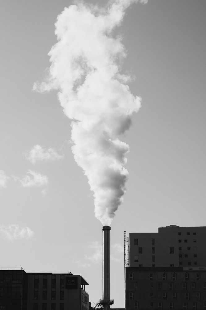 Photograph by Евгения Мамонтова