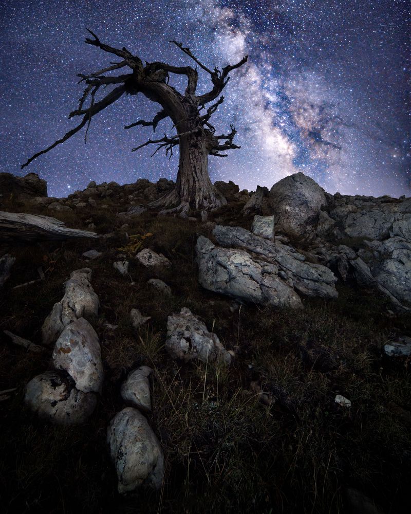 Photograph by lorenzo de donnoo