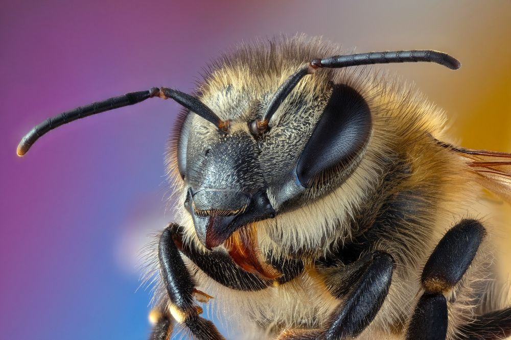 Photograph by Юрьевич Юрий