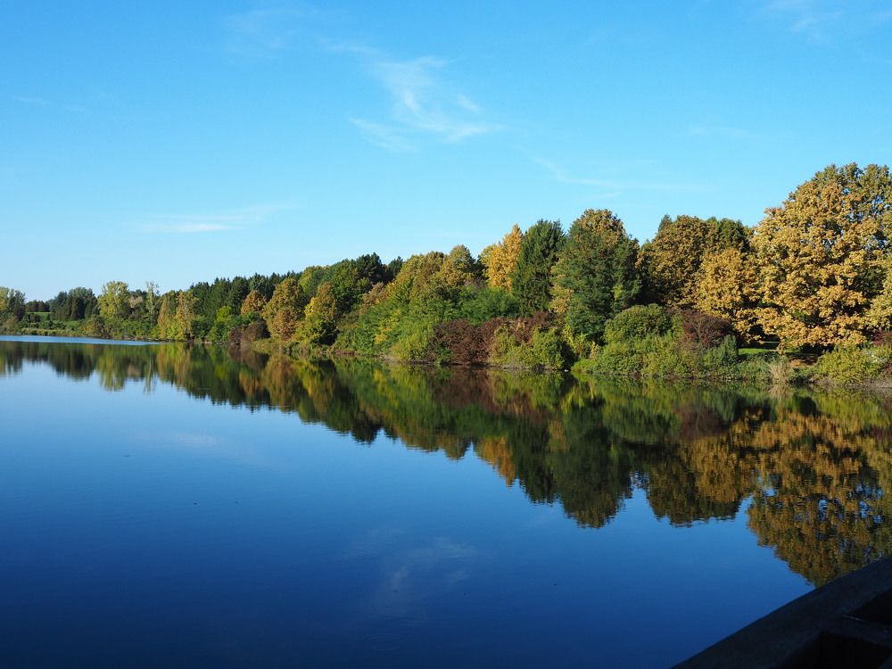 Фотография автора Kiss Gabor