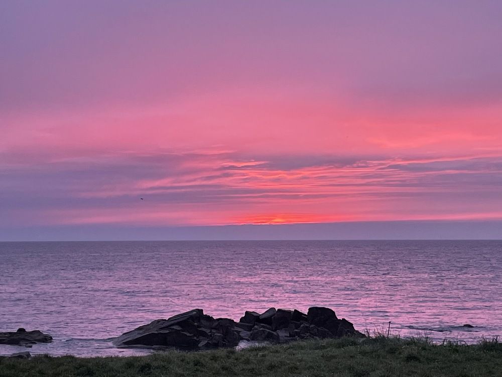 Фотография автора Fiona Murphy