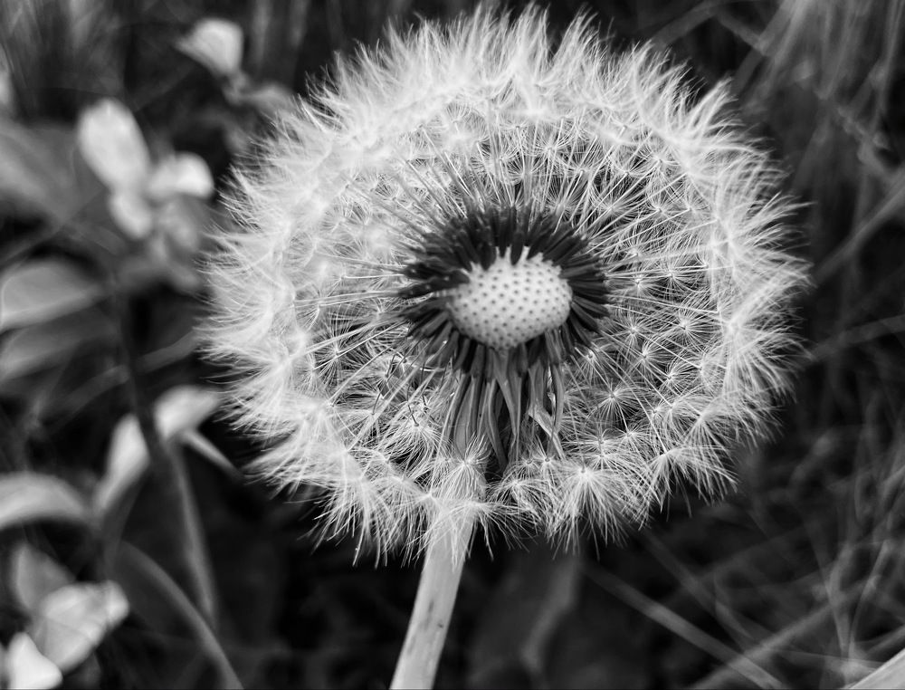 Фотография автора Fiona Murphy