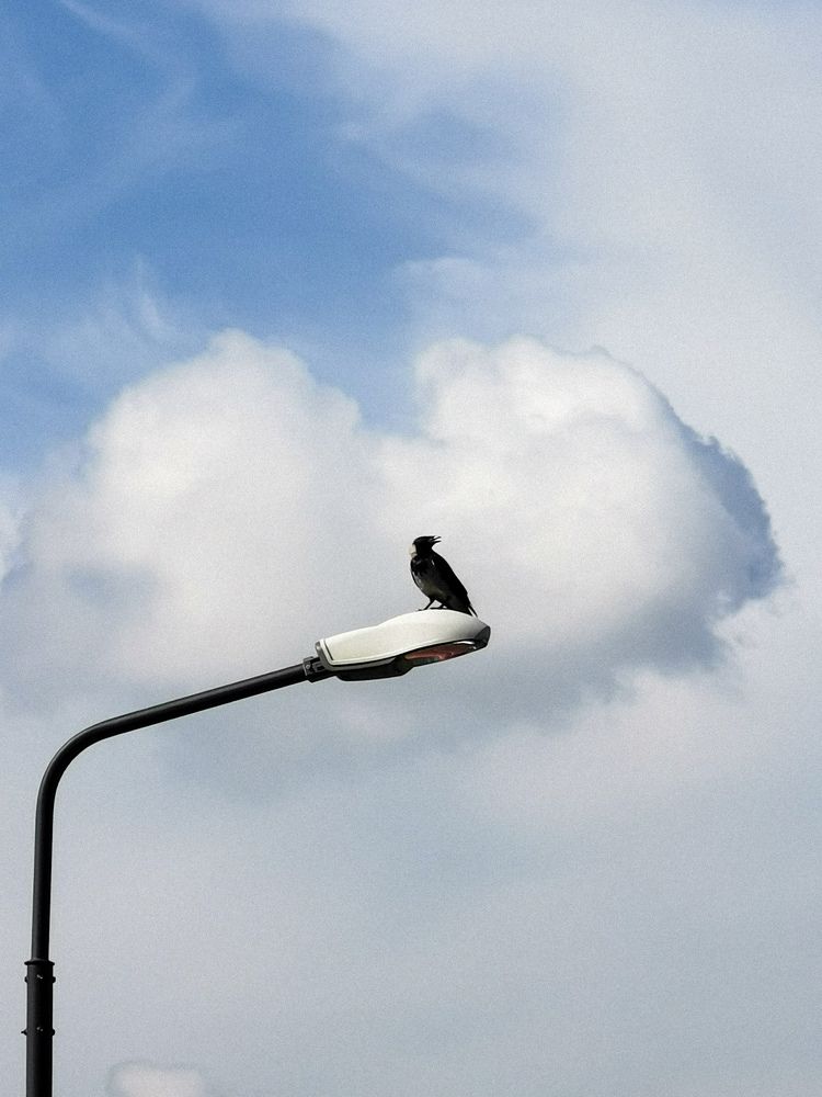 Photograph by Valensia Ludus
