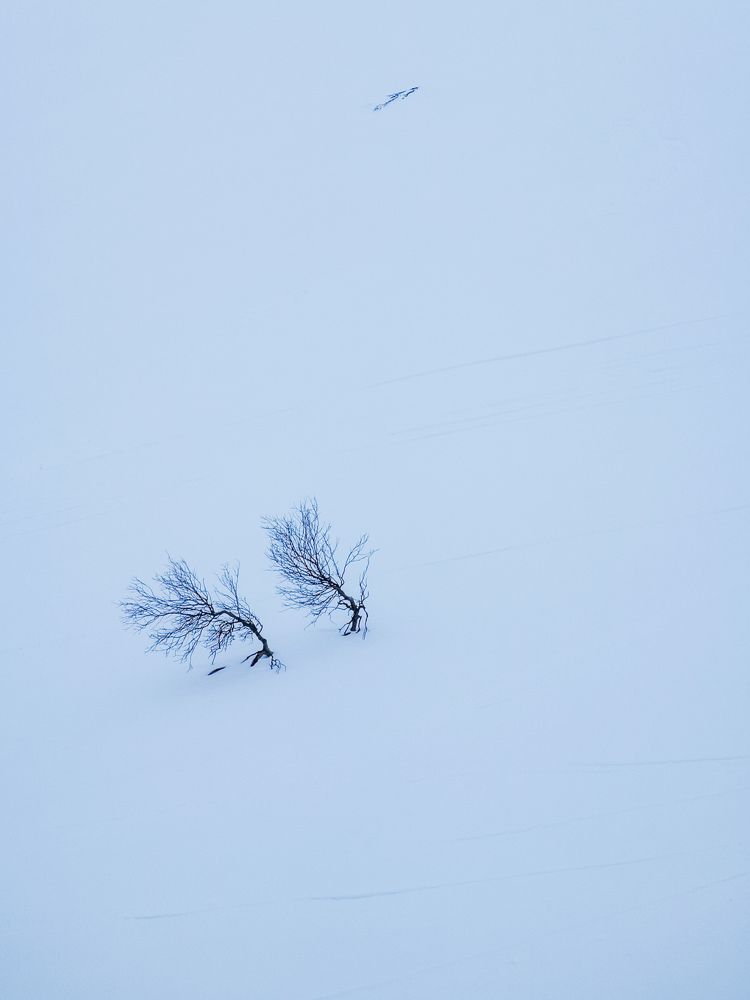 Photograph by Valensia Ludus