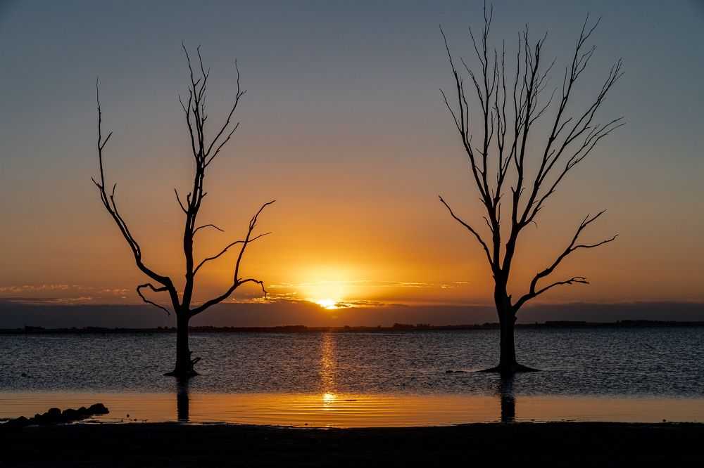 Photograph by Maria Victoria Lopez