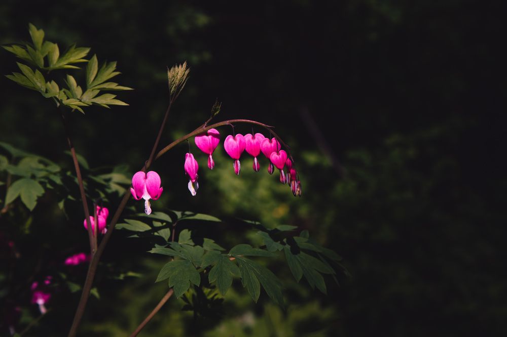 Photograph by Наталья Верхотурова