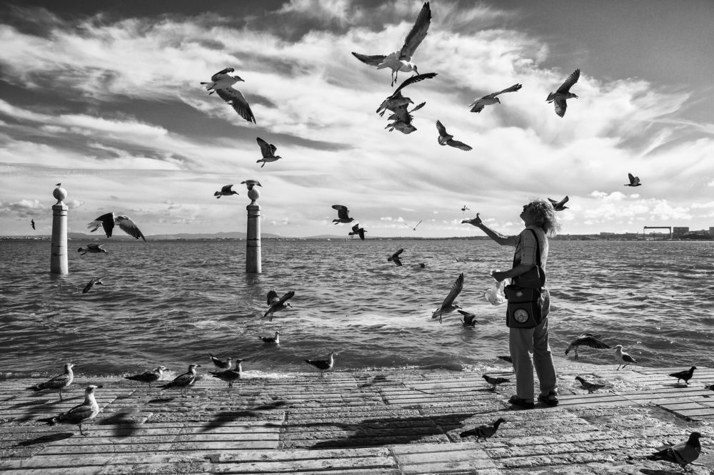 Photograph by Luís Sarmento