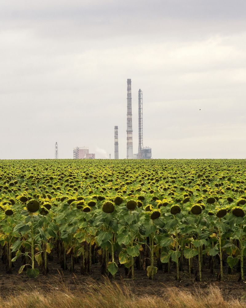 Photograph by Евгений Палагин