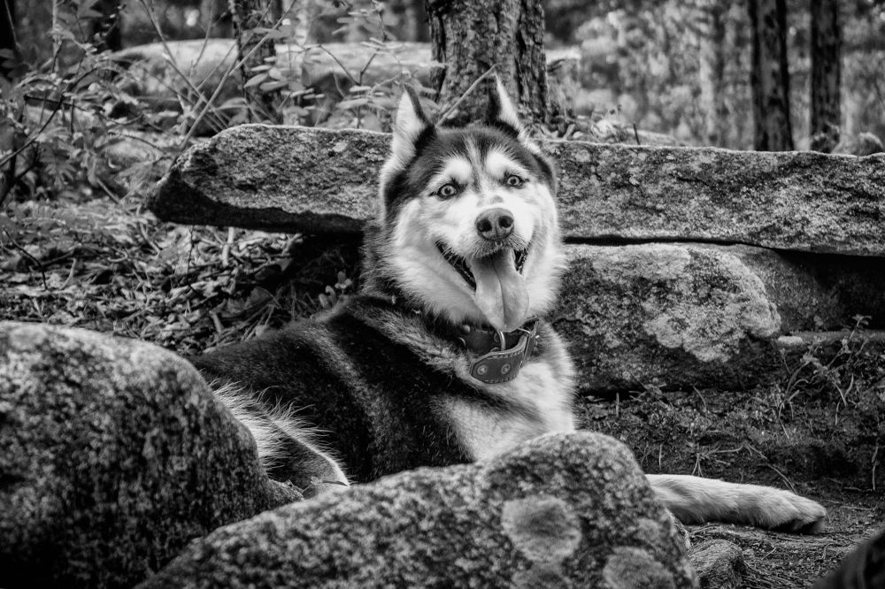 Photograph by Юлия Сухачева