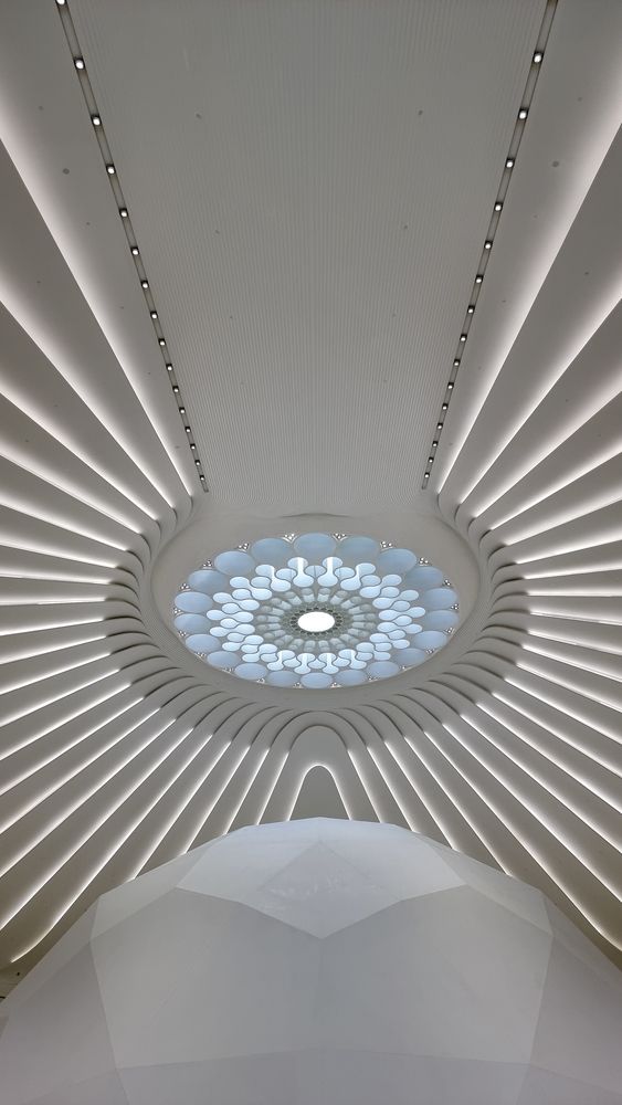 Photograph by Marwa Elchazly