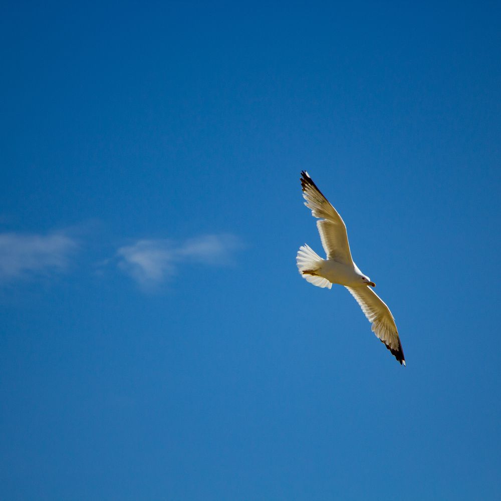 Photograph by Margil Zani