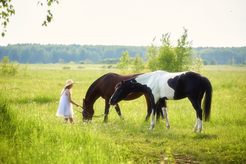 Photograph by Михаил Семенов