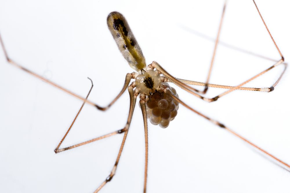 Photograph by Sergiu Ghilan