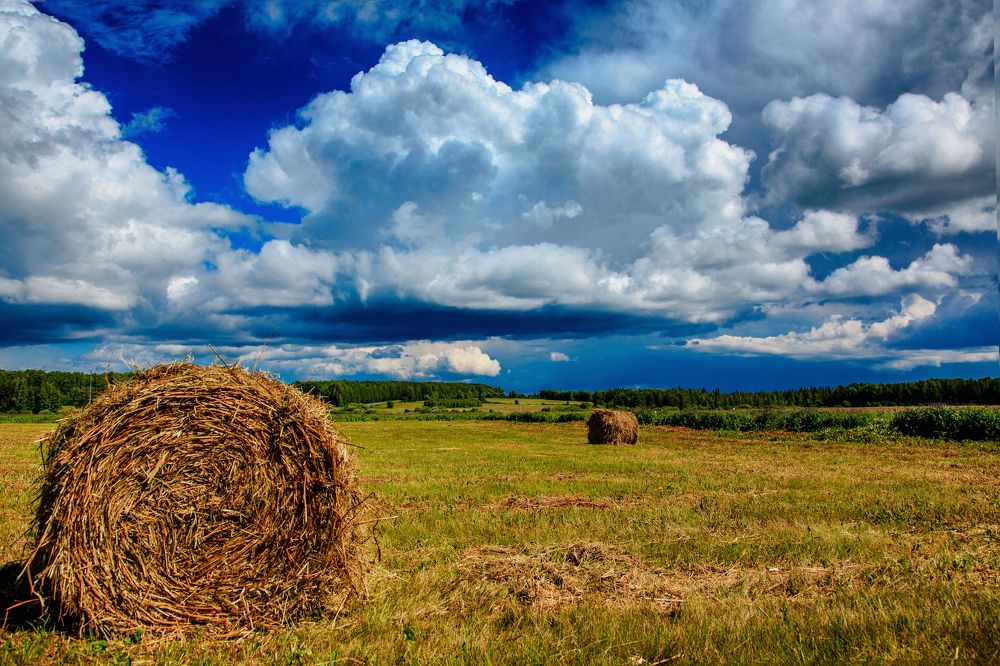 Photograph by Юлия Сухачева