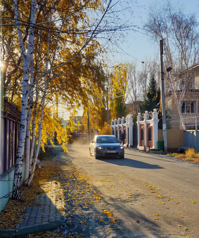 Photograph by Полина Крапивинцева