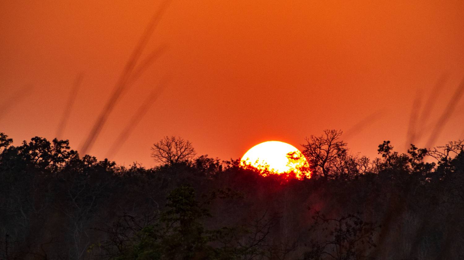 Sunrise or Sunset ?