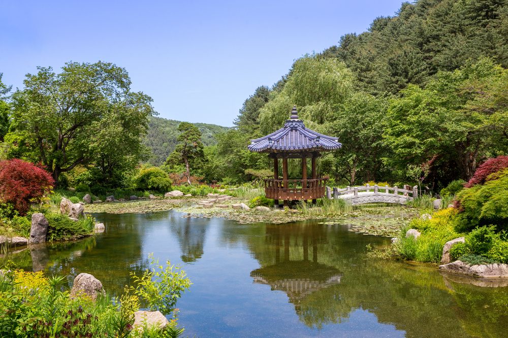 Фотография автора Клавдия Паргачёва