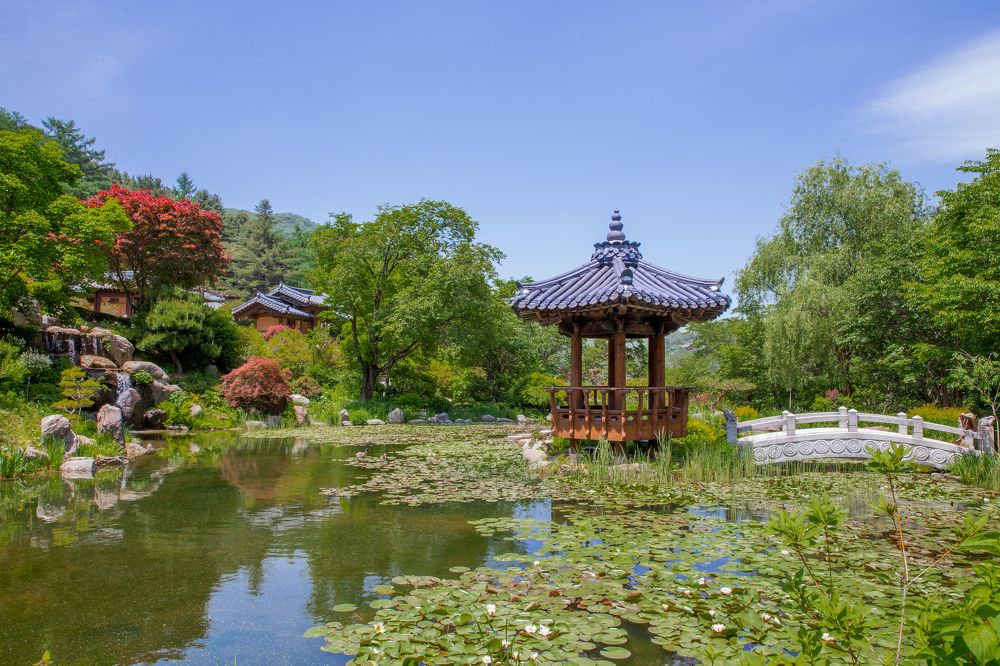 Фотография автора Клавдия Паргачёва