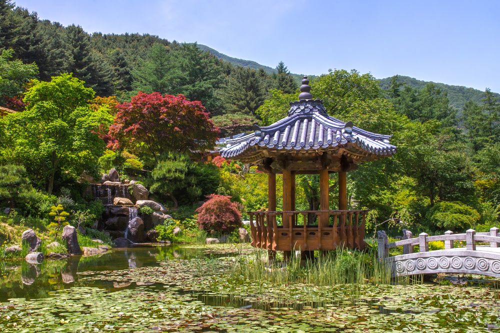 Фотография автора Клавдия Паргачёва