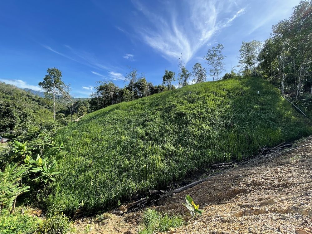 Photograph by Chrline Sobingku