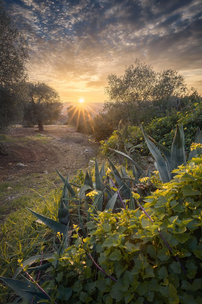Photograph by Antonello Alò
