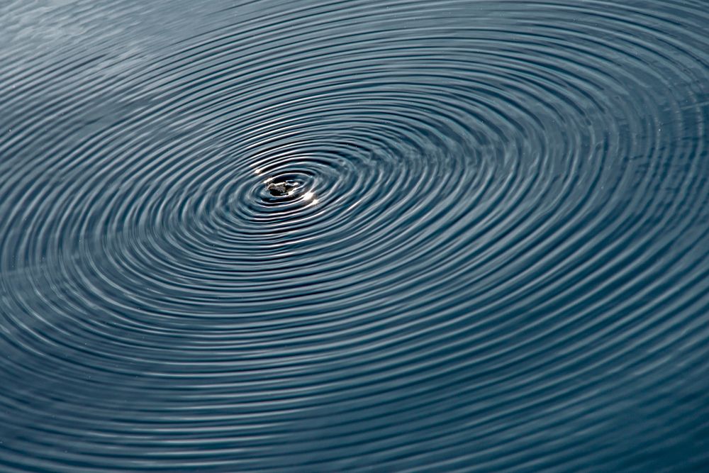 Photograph by Илья Киселев