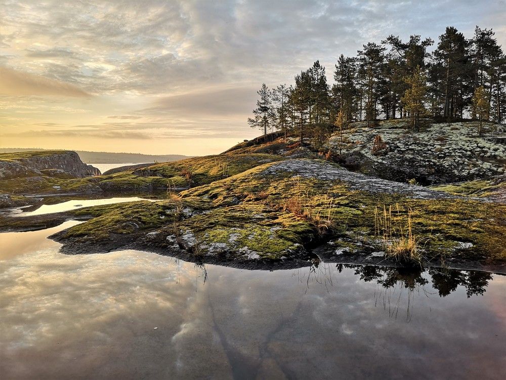 Photograph by Gromova