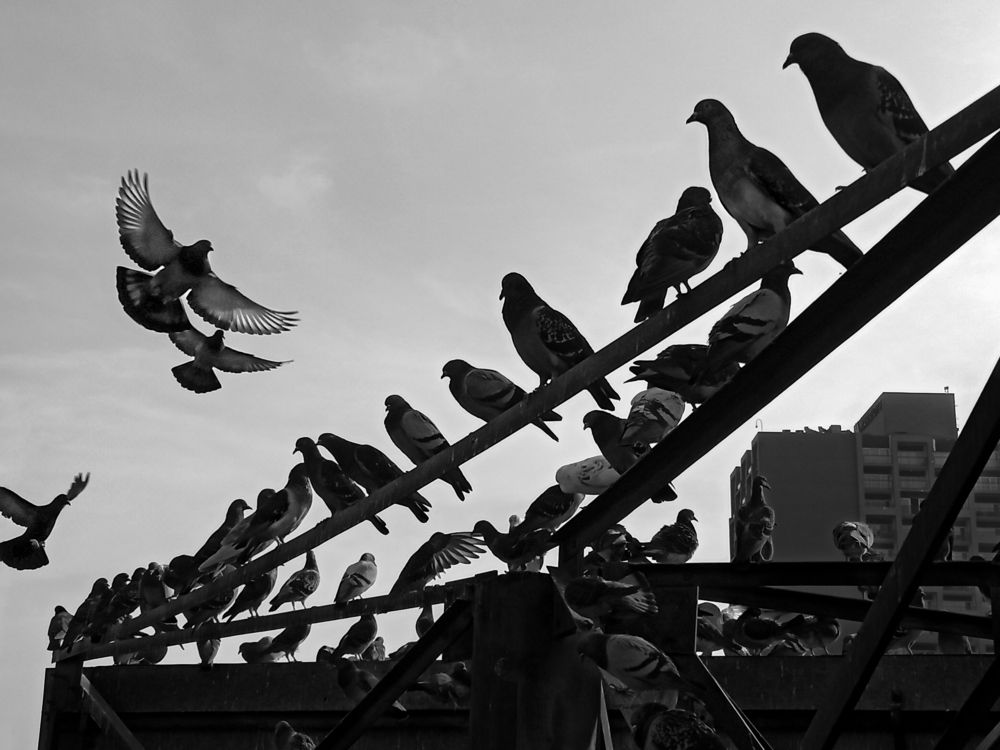 Photograph by Helmy Moataz