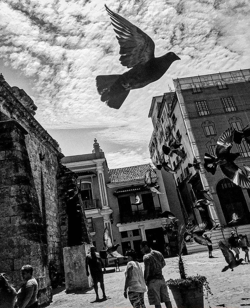 Photograph by Alejandro