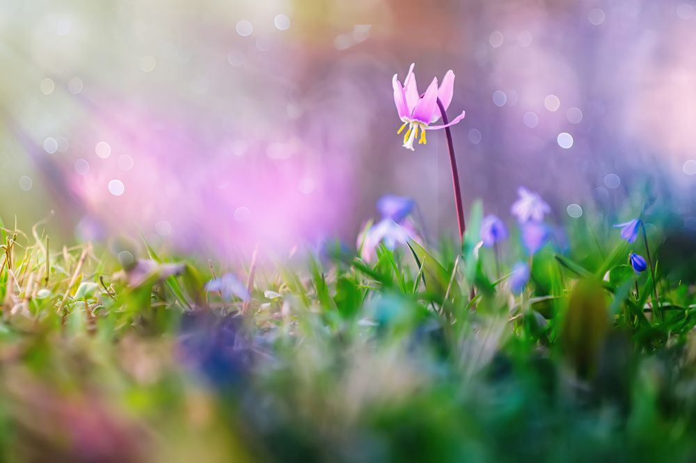 Photograph by Галина Царькова