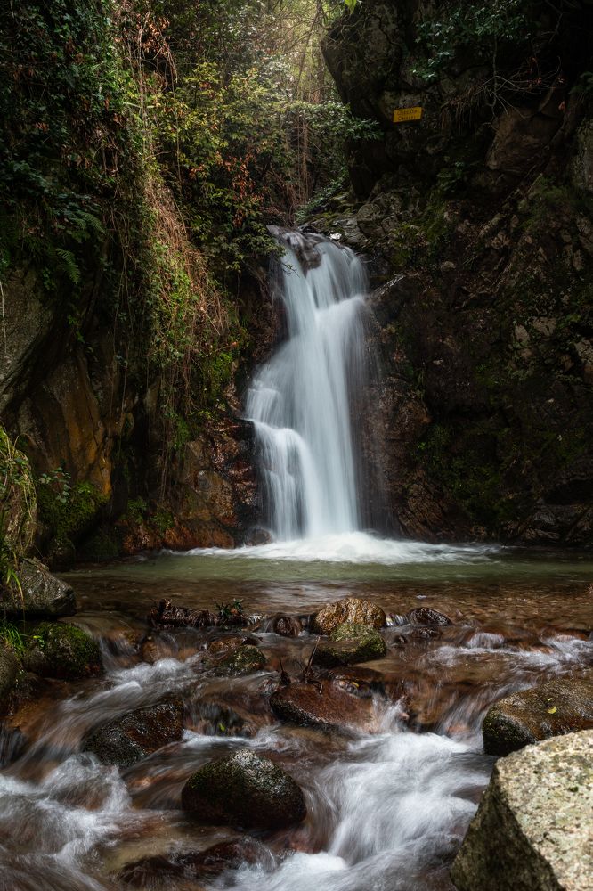 Photograph by Guido Calogero