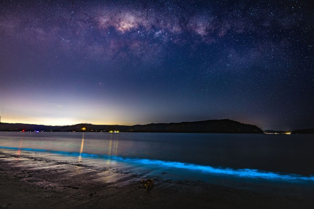 Photograph by Benjamin Said