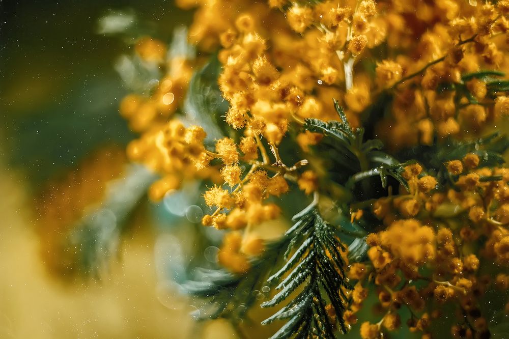 Photograph by Галина Царькова