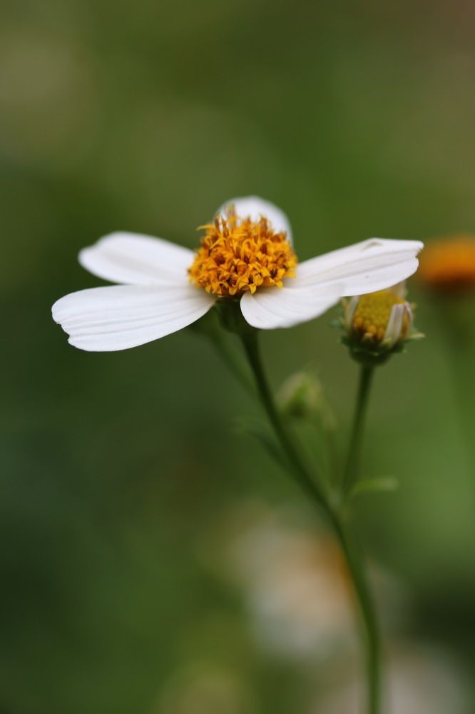 Photograph by Olga von Dahm