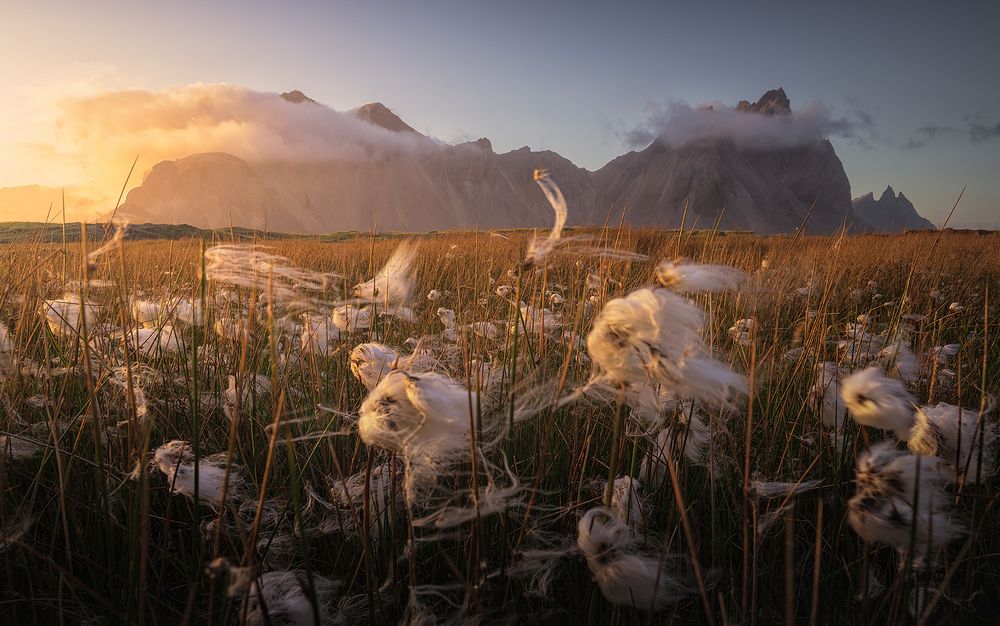 Photograph by Obed Gamart