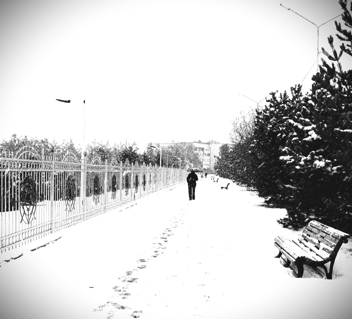 Photo #7360816