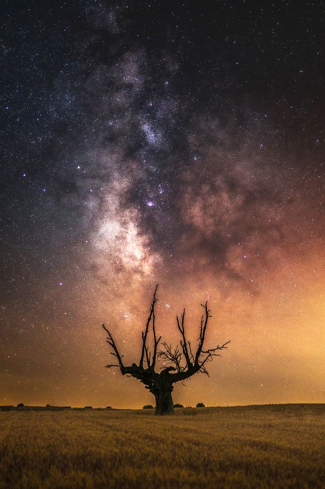 Photograph by Miguel Angel Garabal Otero